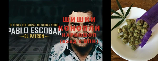 шишки Алексин