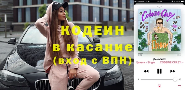 шишки Алексин