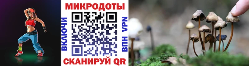 Галлюциногенные грибы мицелий  Бердск 